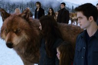 /album/fotogaleria/breaking-dawn-part-2-breaking-dawn-part-2-32095359-600-400-jpg/